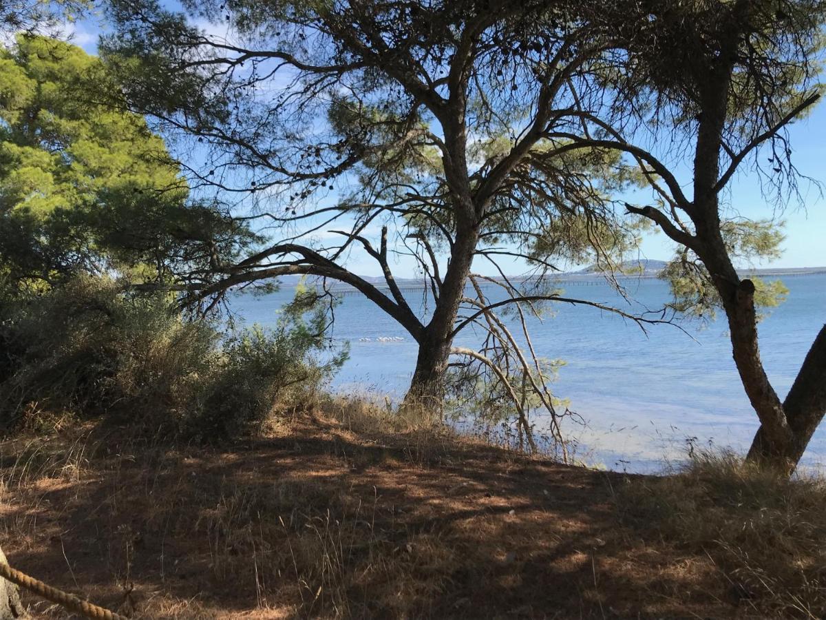 Au Bord De Thau Bed and Breakfast Marseillan  Εξωτερικό φωτογραφία