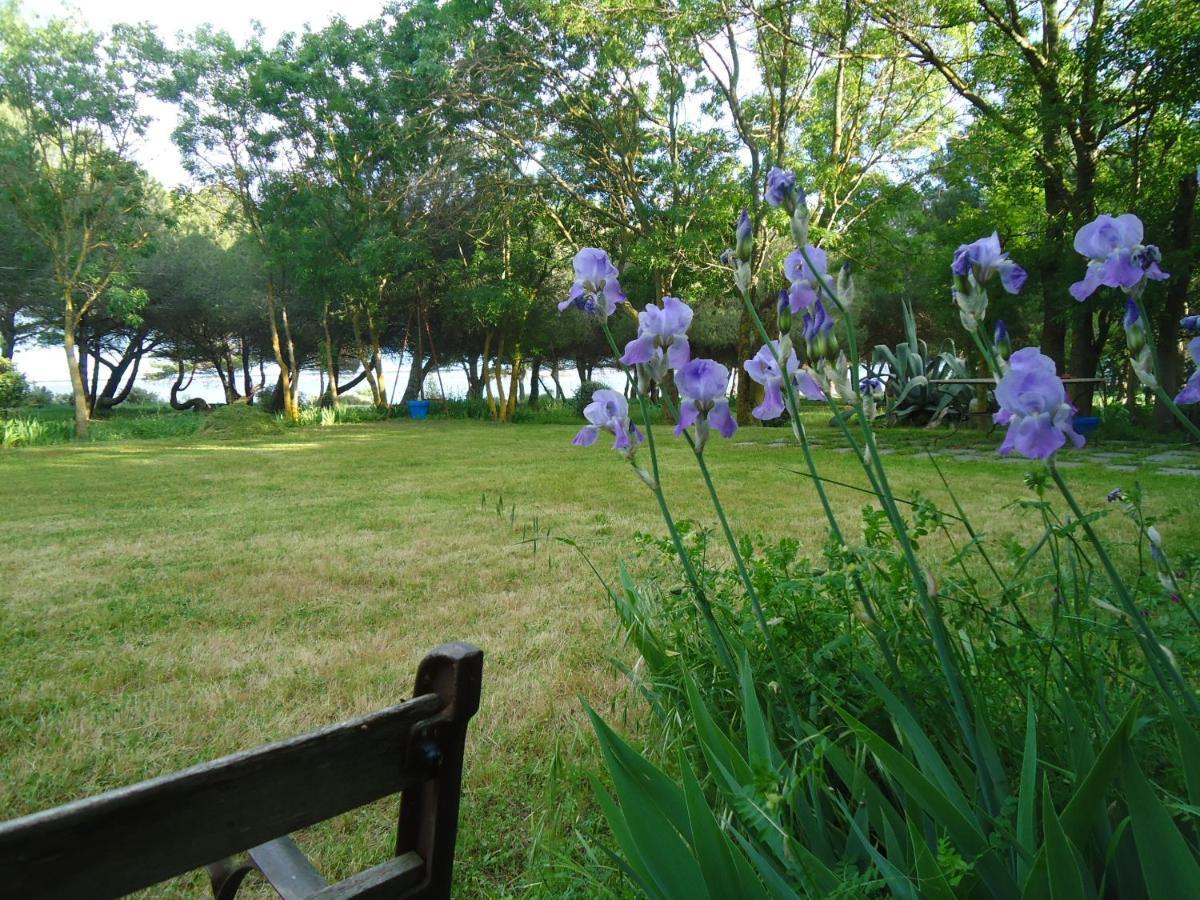Au Bord De Thau Bed and Breakfast Marseillan  Εξωτερικό φωτογραφία