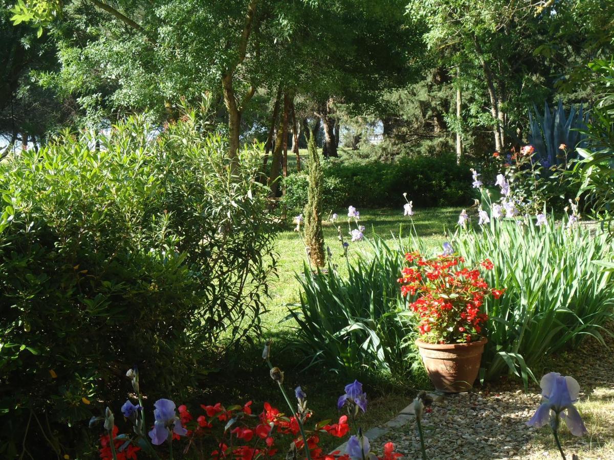 Au Bord De Thau Bed and Breakfast Marseillan  Εξωτερικό φωτογραφία