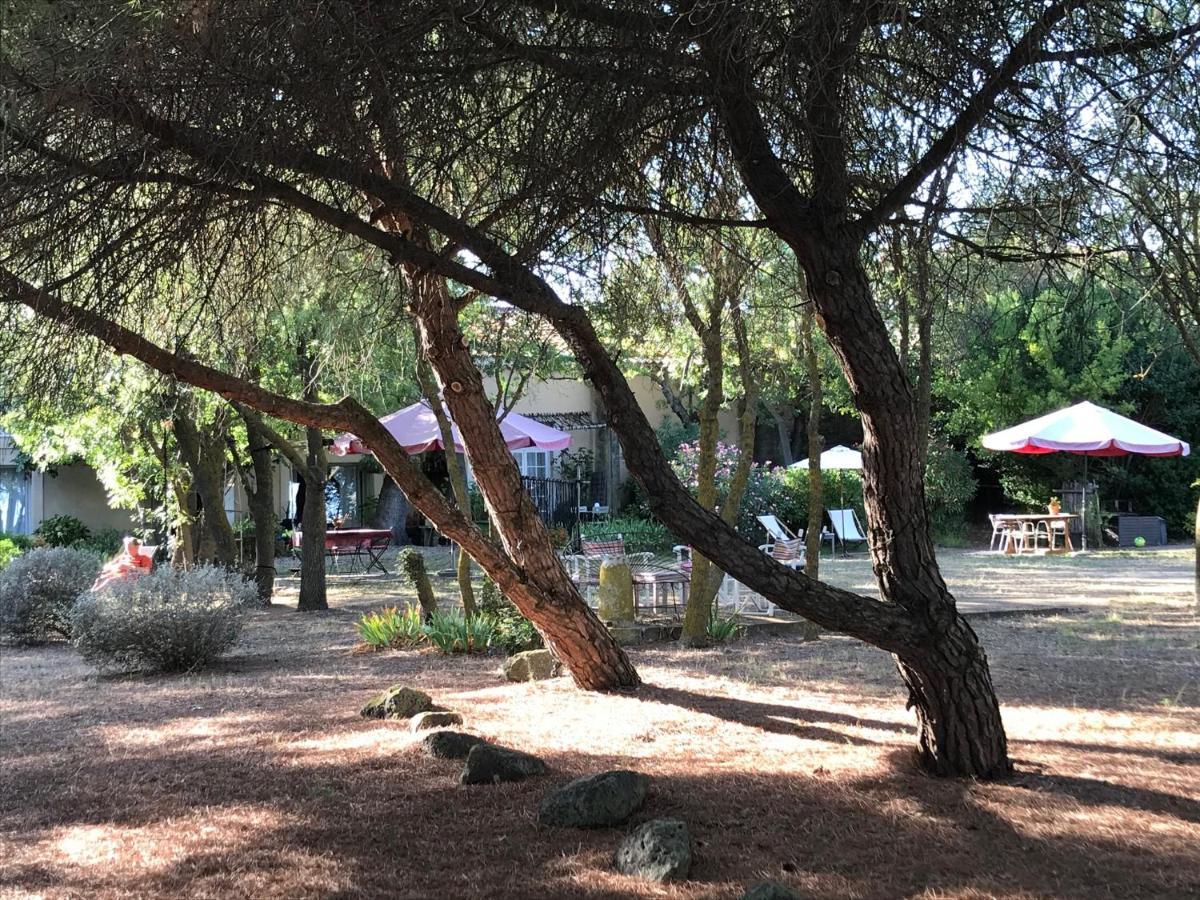 Au Bord De Thau Bed and Breakfast Marseillan  Εξωτερικό φωτογραφία