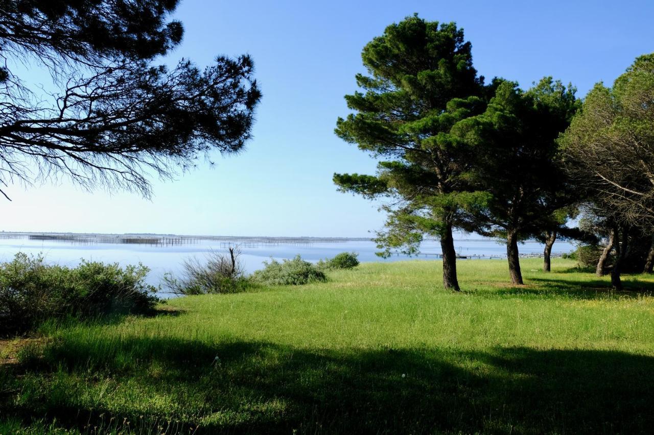 Au Bord De Thau Bed and Breakfast Marseillan  Εξωτερικό φωτογραφία