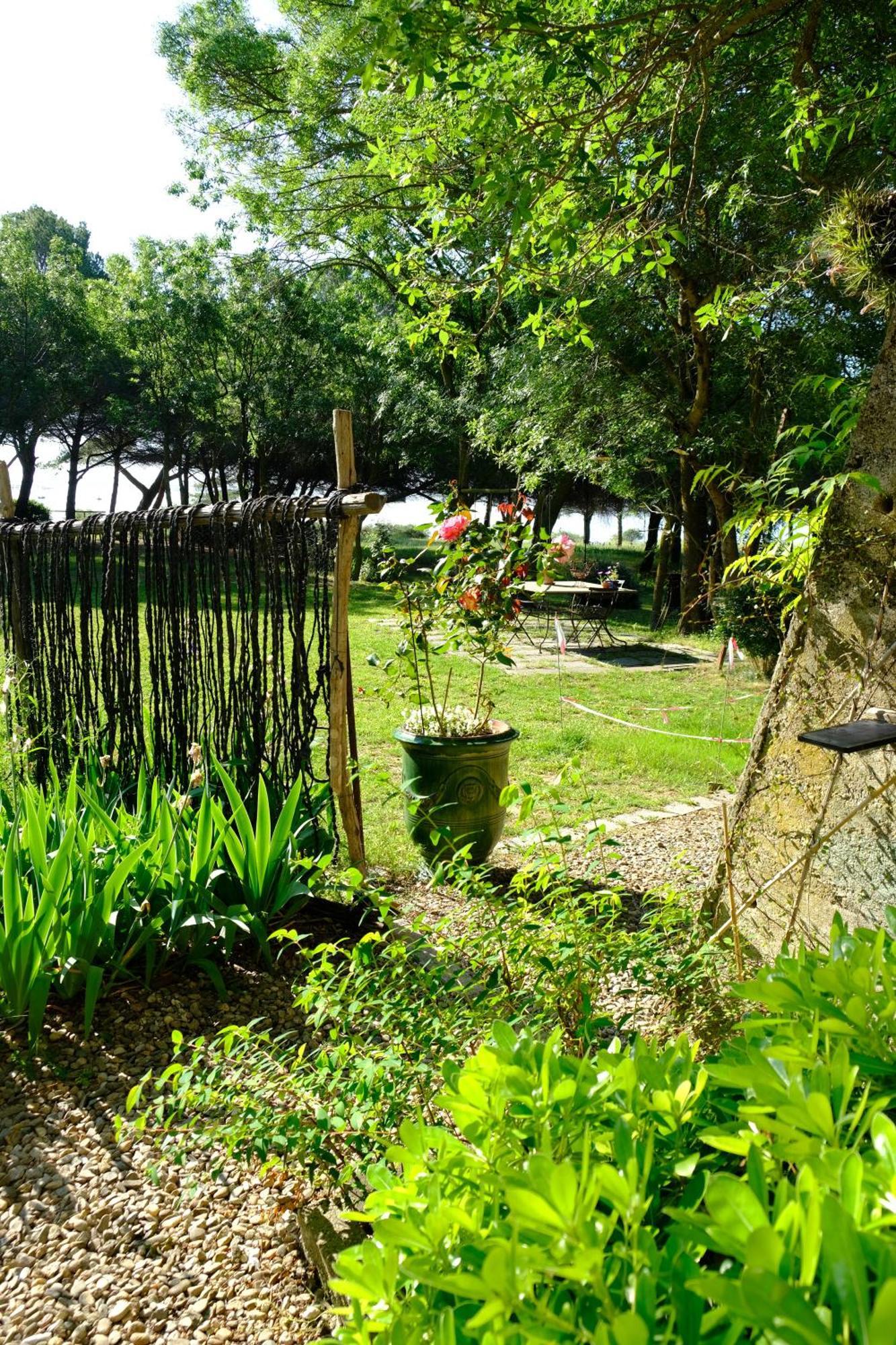 Au Bord De Thau Bed and Breakfast Marseillan  Εξωτερικό φωτογραφία