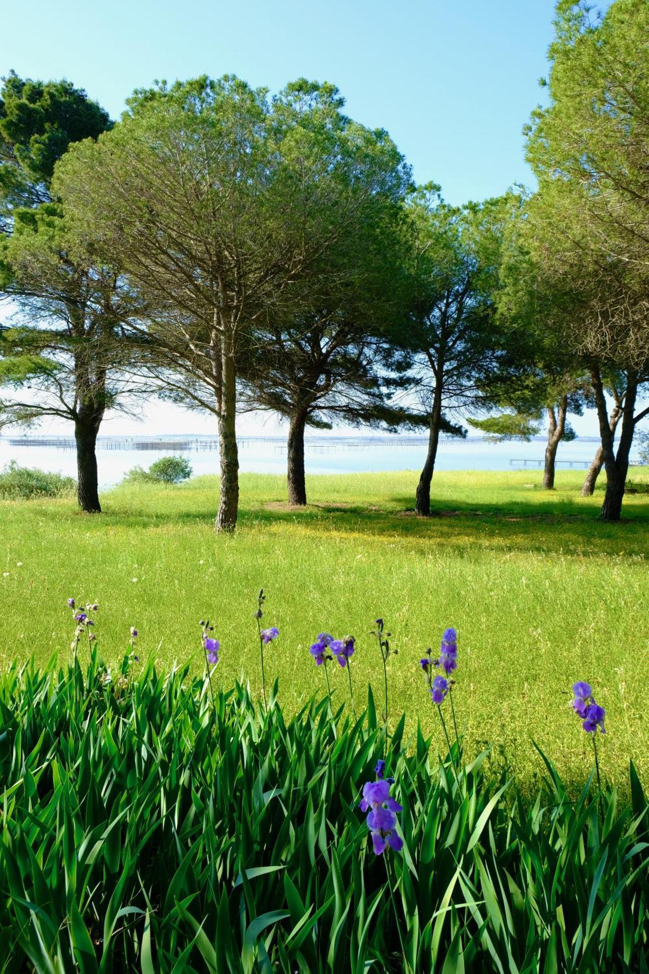 Au Bord De Thau Bed and Breakfast Marseillan  Εξωτερικό φωτογραφία