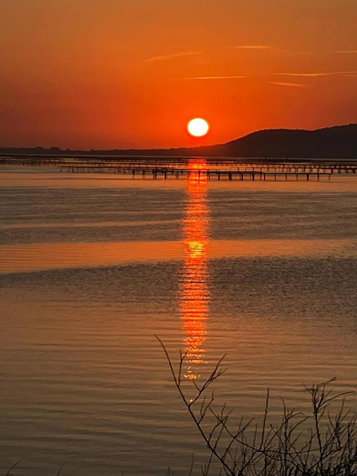 Au Bord De Thau Bed and Breakfast Marseillan  Εξωτερικό φωτογραφία